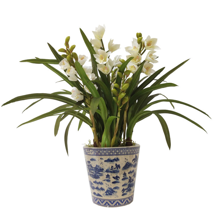 Winward Silks Faux Silk Orchids Arrangement in Pot Wayfair Canada
